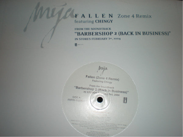 Fallen (Zone 4 Remix)