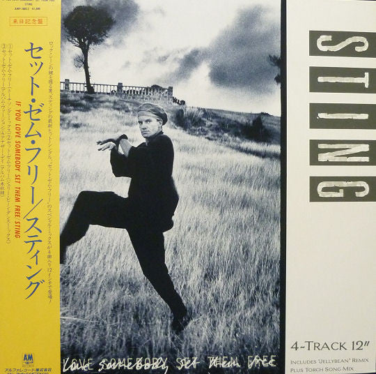 Release: If You Love Somebody Set Them Free-Vinyl-Japan-1985-AMP-18052-4499175