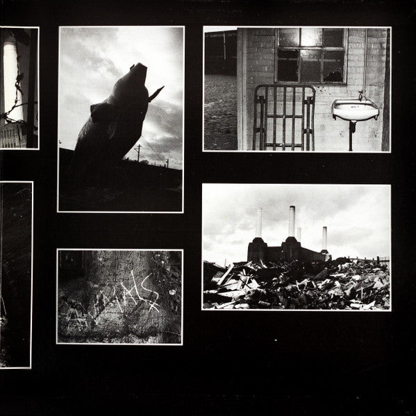 Animals = アニマルズ