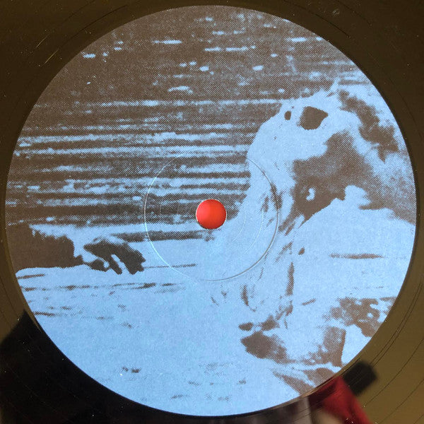 The Drowning Of Lucy Hamilton