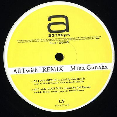 All I Wish "Remix"