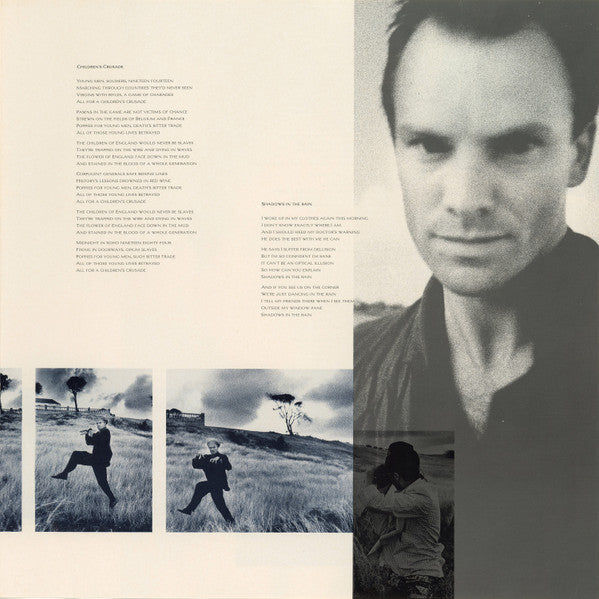 The Dream Of The Blue Turtles