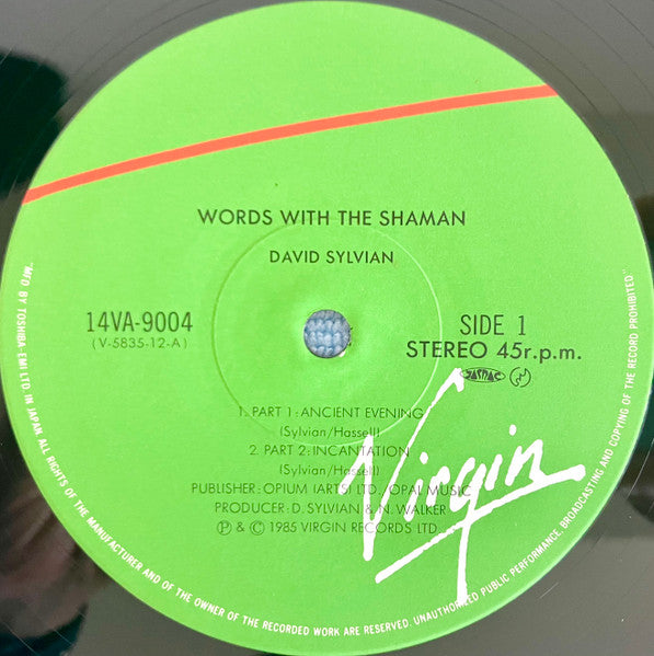 Words With The Shaman