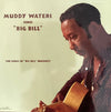 Muddy Waters - Muddy Waters Sings Big Bill Broonzy (LP, Album, Reissue, Remastered) - Near Mint (NM or M-) / Near Mint (NM or M-)