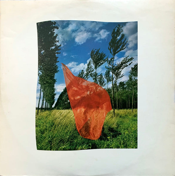 Wish You Were Here = 炎 (あなたがここにいてほしい)