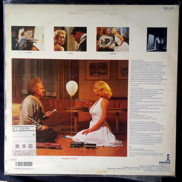 Release: Shape Of The Universe:  A Souvenir Of Insignificance-Vinyl-Japan-1985-R28D-2043-6563906