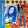 David Lindley - Mr. Dave (LP, Album) - Very Good Plus (VG+) / Very Good Plus (VG+)