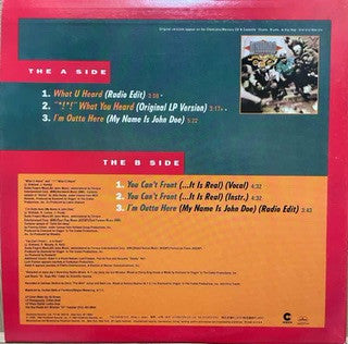 Master Release: What U Heard by Diamond D