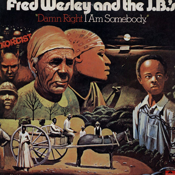 Damn Right I Am Somebody