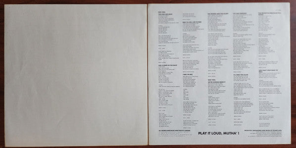 You Can't Stop Rock 'N' Roll