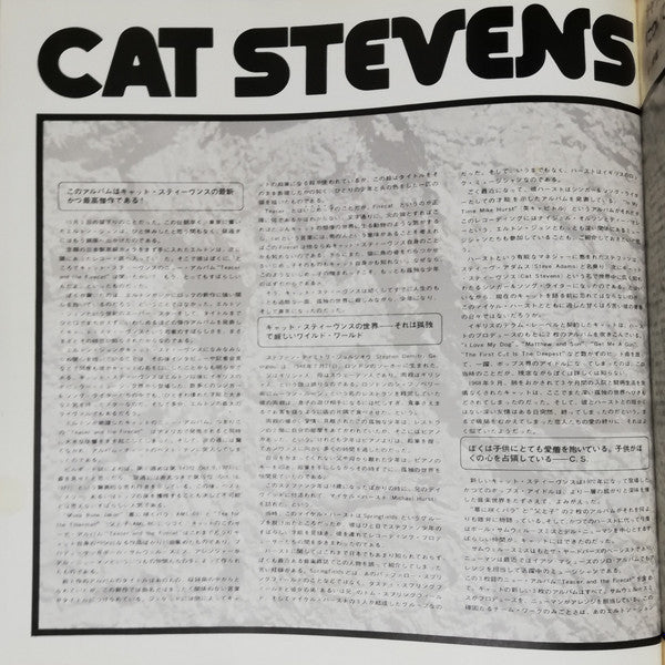 Teaser And The Firecat