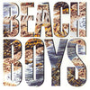 The Beach Boys - The Beach Boys (Vinyl, LP, Album) Very Good (VG) / Very Good (VG)