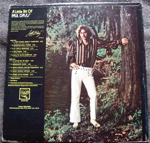 Release: A Little Bit Of Paul Davis-Vinyl-US-1970-BLPS 223, BLP 223, BANG 223-2903263
