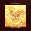 James Vincent - Waiting For The Rain (LP, Album, Promo) - Very Good Plus (VG+) / Good Plus (G+)