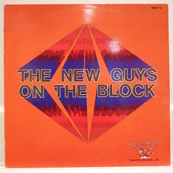 Master Release: The New Guys On The Block by New Guys On The Block