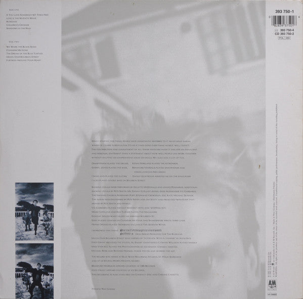 Release: The Dream Of The Blue Turtles-Vinyl-Europe-1985-393 750-1-25528315