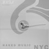 Naked Music NYC - If I Fall (House Mixes) (Vinyl, 12