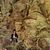 Dave Mason - Alone Together (LP, Album) - Very Good Plus (VG+) / Very Good Plus (VG+)