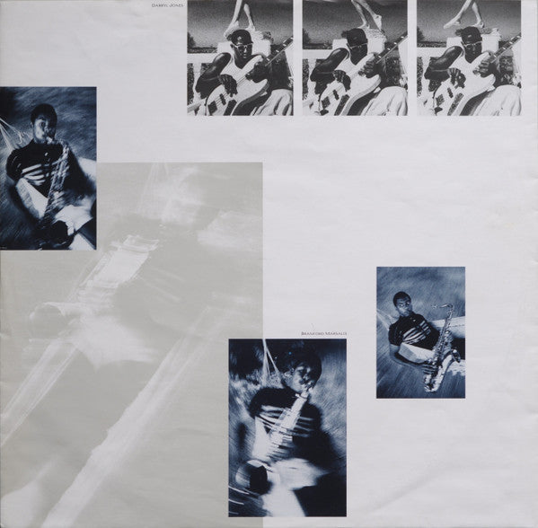 The Dream Of The Blue Turtles