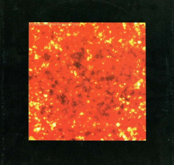 Master Release: U Can't Hide From Your Bud by DJ Sneak