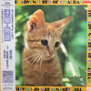 Ryuichi Sakamoto - 子猫物語 ~The Adventures Of Chatran~ (Vinyl, LP, Album, Promo, Stereo) Very Good (VG) / Very Good Plus (VG+)