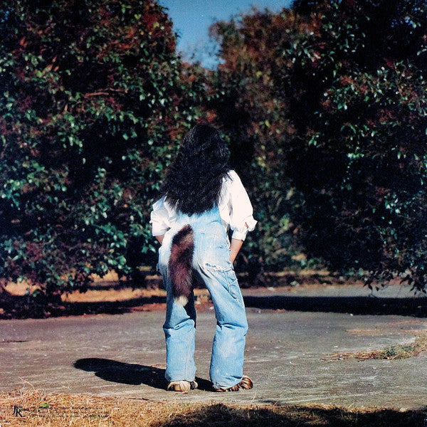 ごはんができたよ