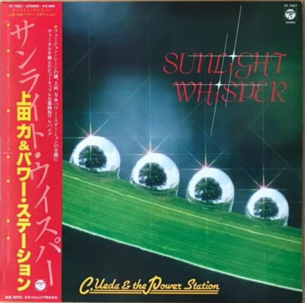 Master Release: Sunlight Whisper by Chikara Ueda