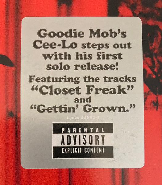 Cee-Lo Green And His Perfect Imperfections