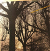 The Walter Norris Trio - A Child is Born (LP, Album) - Very Good Plus (VG+) / Very Good Plus (VG+)