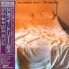 The Jim Carroll Band - Dry Dreams (LP, Album, Promo) - Very Good Plus (VG+) / Very Good (VG)