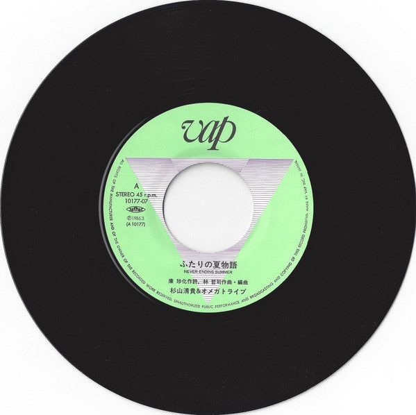 ふたりの夏物語 - Never Ending Summer