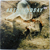 Arto Lindsay - Ecomixes Two (12