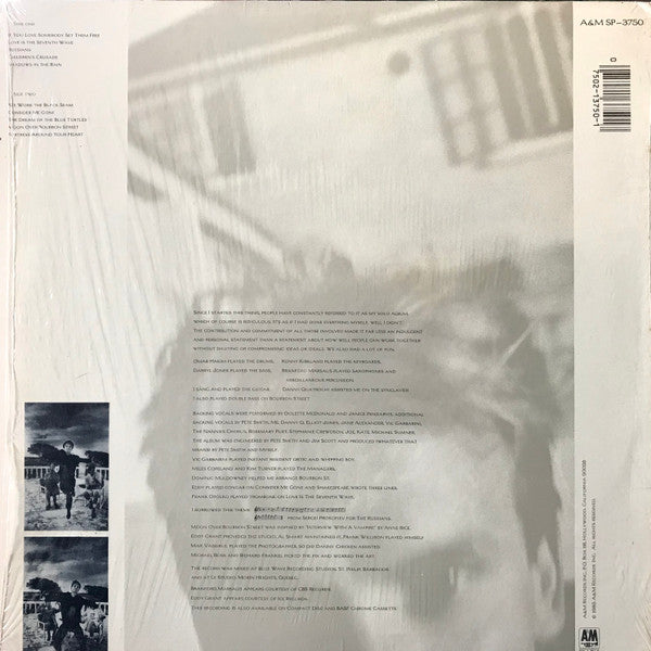 The Dream Of The Blue Turtles