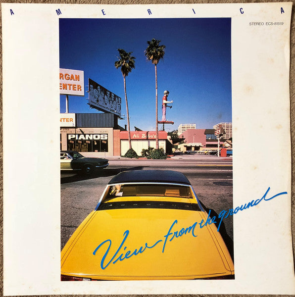 View From The Ground