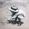 Phoebe Snow - Never Letting Go (LP, Album) - Very Good (VG) / Very Good (VG)
