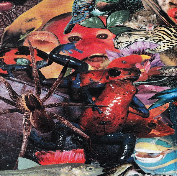 Release: Superunknown-Vinyl-US-1994-31454 0198 1-1130298