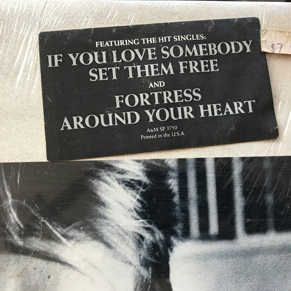 The Dream Of The Blue Turtles