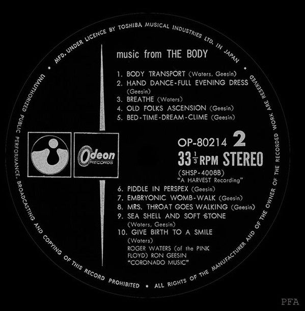 Music From The Body