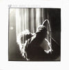 U2 - Wide Awake In America (12