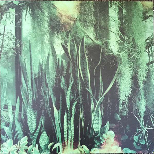 Release: Wood/Water-Vinyl-US-2002-FL-001, 86617-1-1631900