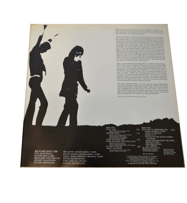 In The Land Of Grey And Pink