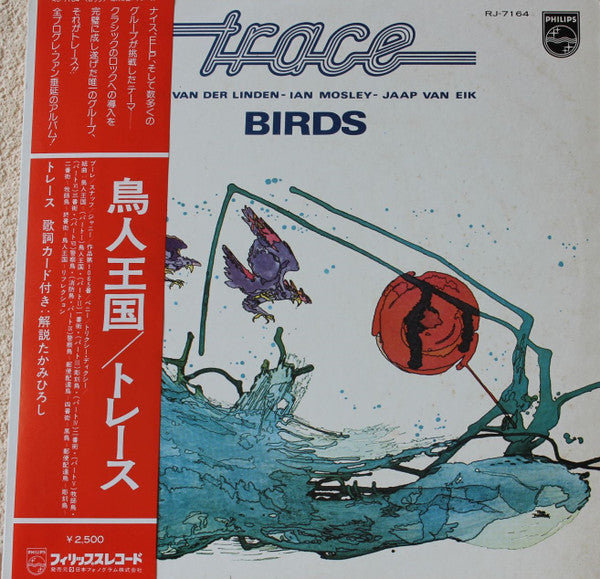 Master Release: Birds by Trace (6)
