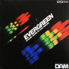 Dynamic Special Sound Orchestra - Evergreen (Vinyl, LP, 45 RPM, Stereo) Very Good Plus (VG+) / Very Good (VG)