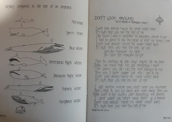 Nantucket Sleighride