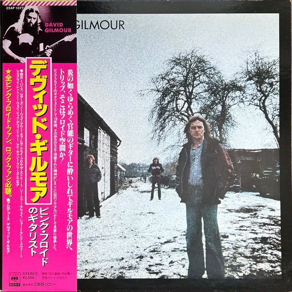 Master Release: David Gilmour by David Gilmour