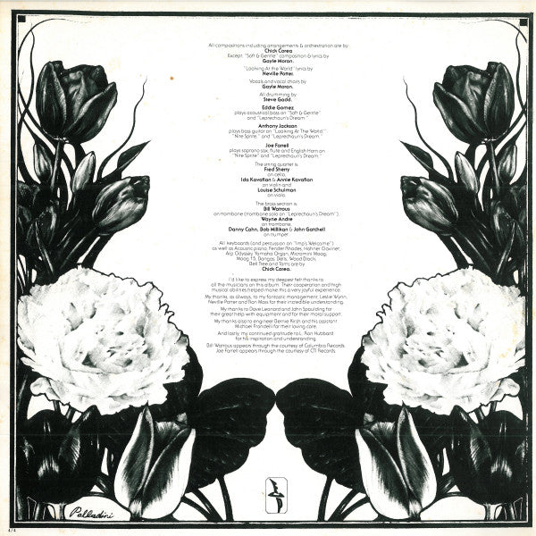 The Leprechaun = 妖精