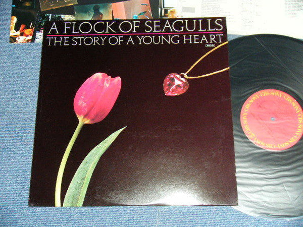 The Story Of A Young Heart