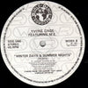 Yvonne Gage - Winter Days & Summer Nights (Remix) (12