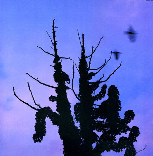Release: あぶらだこ-Vinyl-Japan-1985-28JAL-3021-1391290