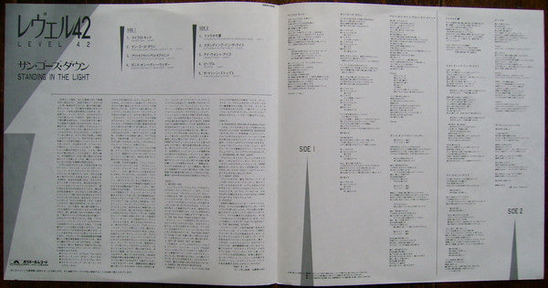 Standing In The Light